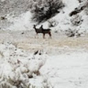 Meet your Posher, Hunter